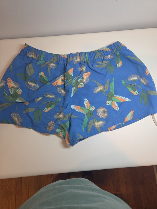 Patagonia Pants - Patagonia Barely Baggies Bird